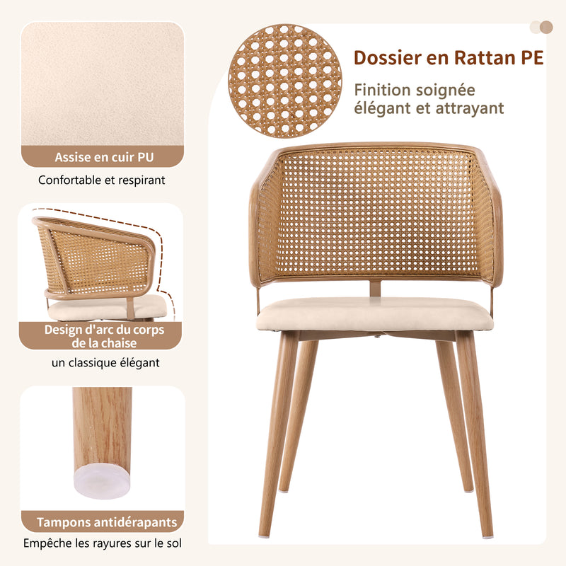 Lot de 2 chaises de salle à manger dossier en rotin, coussin d&
