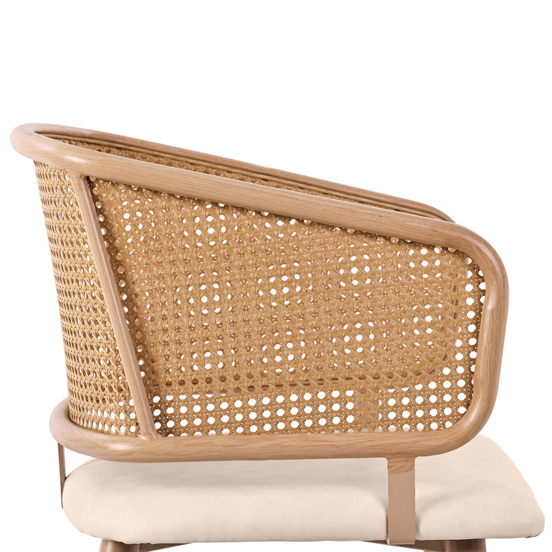 Lot de 2 chaises de salle à manger dossier en rotin, coussin d&
