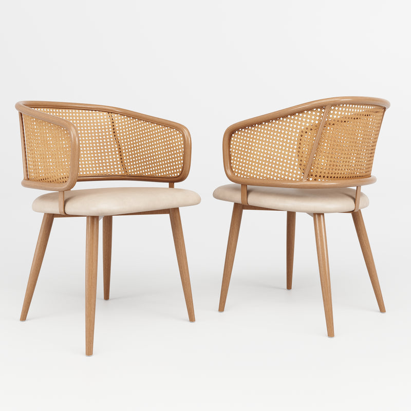 Lot de 2 chaises de salle à manger dossier en rotin, coussin d&