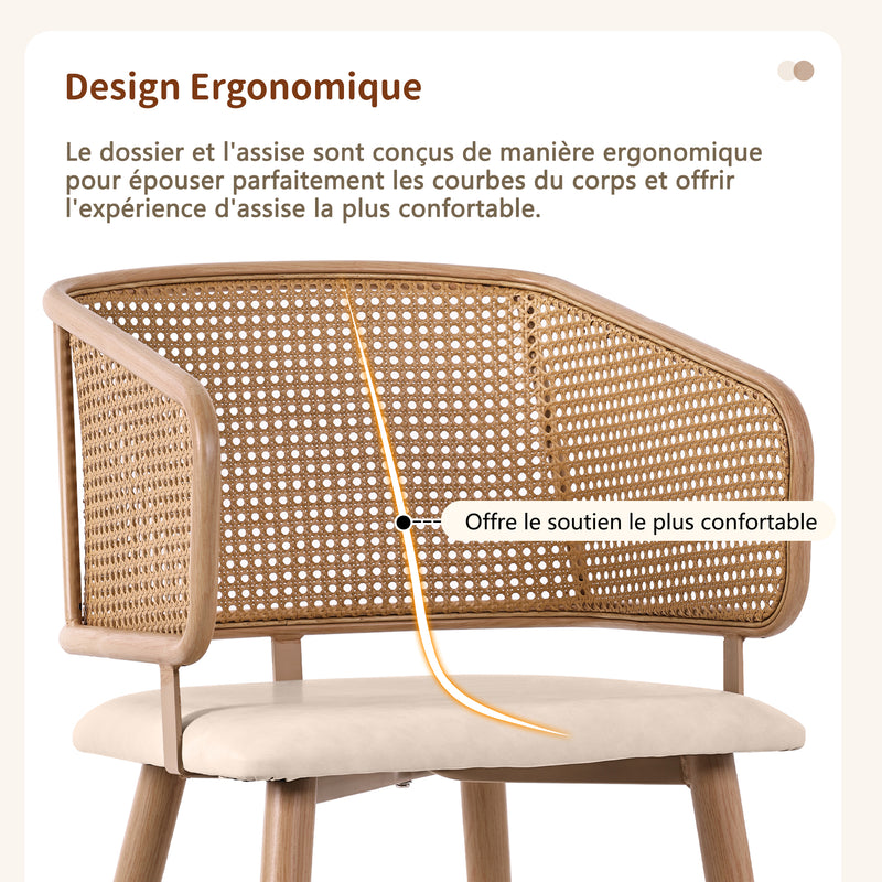 Lot de 2 chaises de salle à manger dossier en rotin, coussin d&