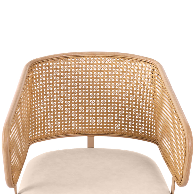Lot de 2 chaises de salle à manger dossier en rotin, coussin d&