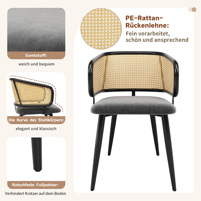 Lot de 2 chaises de salle à manger velours gris et dossier en rotin, pieds en métal noir POLLENBASKET