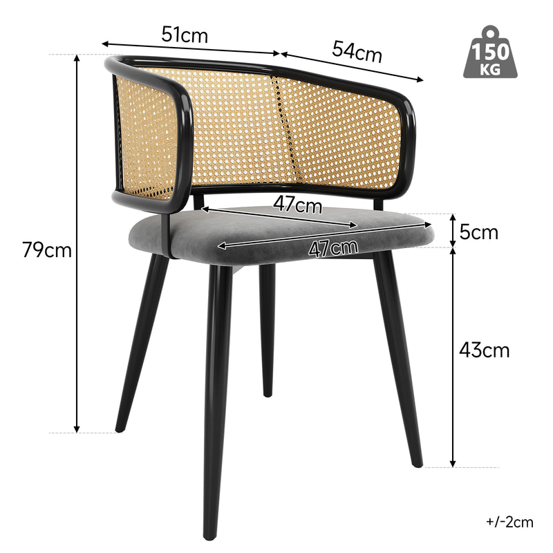 Lot de 2 chaises de salle à manger velours gris et dossier en rotin, pieds en métal noir POLLENBASKET