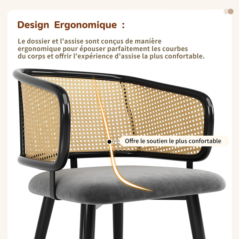 Lot de 2 chaises de salle à manger velours gris et dossier en rotin, pieds en métal noir POLLENBASKET