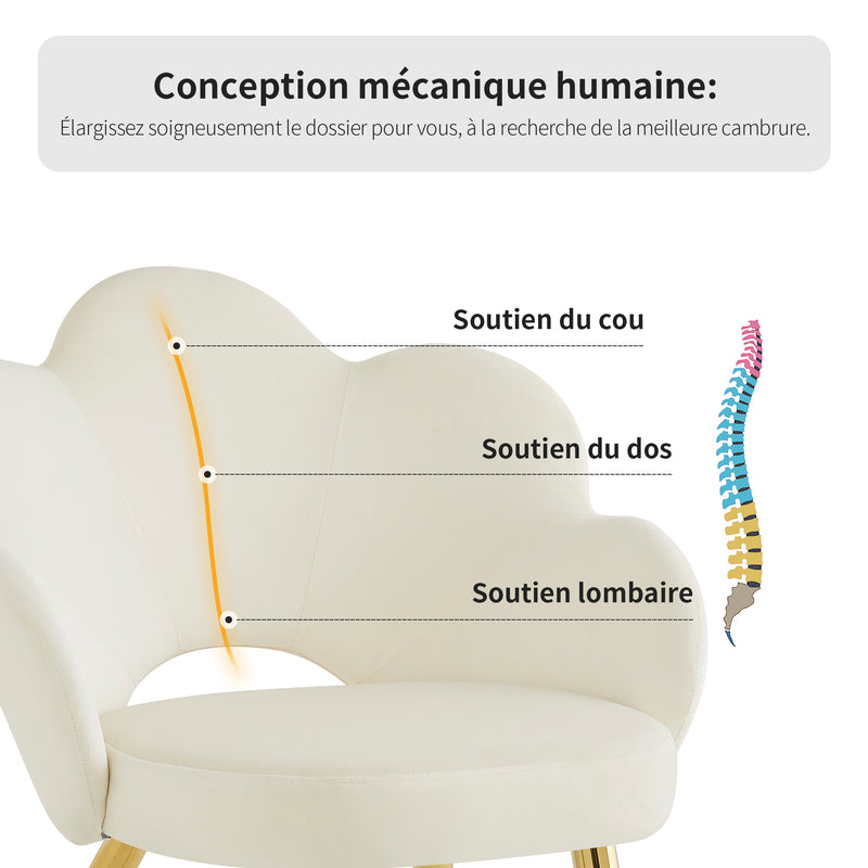 Lot de 2 chaises de salle à manger au design floral velours blanc chaise, pieds en fer doré galvanisé STRULZIDS