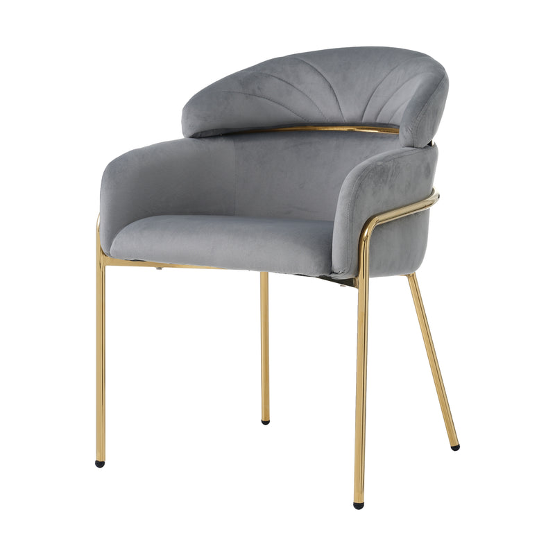 Lot de 2 chaises de salle à manger en velours gris avec pieds dorés TRAKIEL GREY