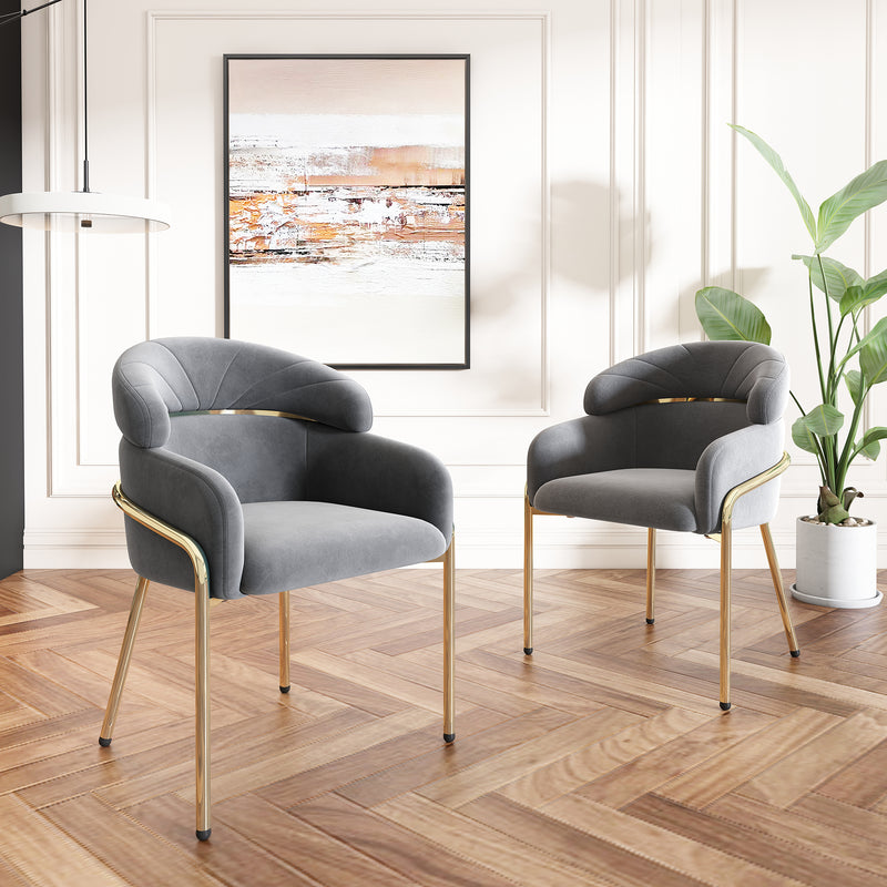 Lot de 2 chaises de salle à manger en velours gris avec pieds dorés TRAKIEL GREY