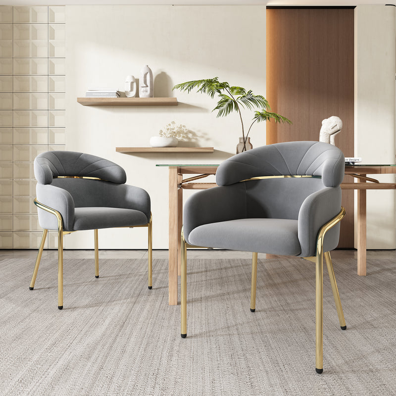Lot de 2 chaises de salle à manger en velours gris avec pieds dorés TRAKIEL GREY