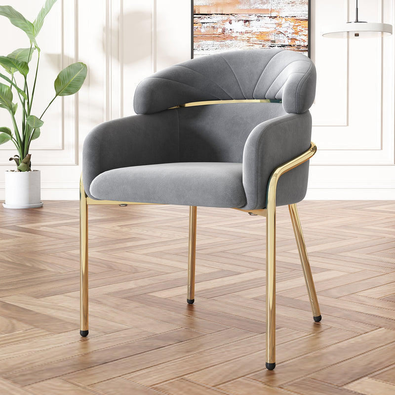 Lot de 2 chaises de salle à manger en velours gris avec pieds dorés TRAKIEL GREY