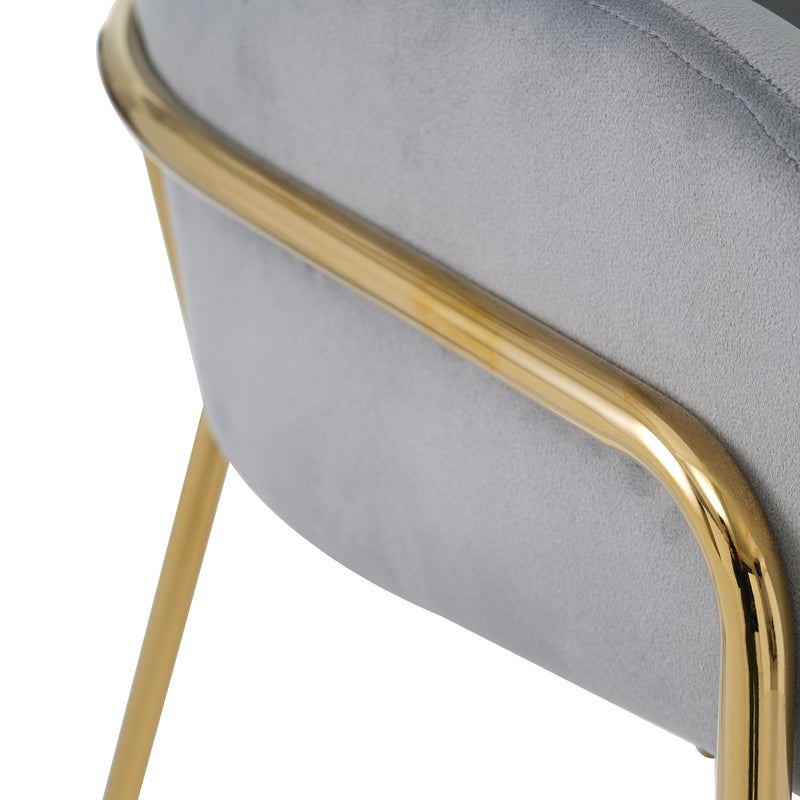 Lot de 2 chaises de salle à manger en velours gris avec pieds dorés TRAKIEL GREY
