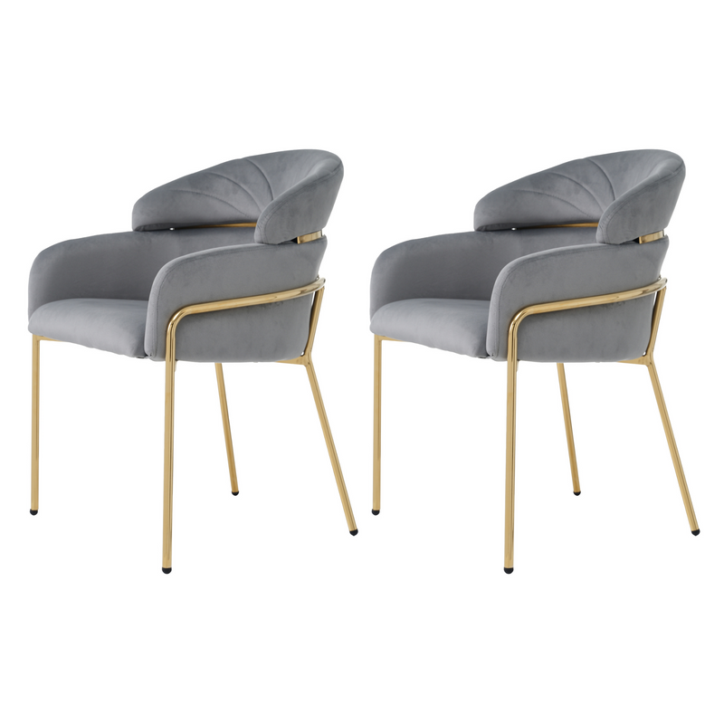 Lot de 2 chaises de salle à manger en velours gris avec pieds dorés TRAKIEL GREY