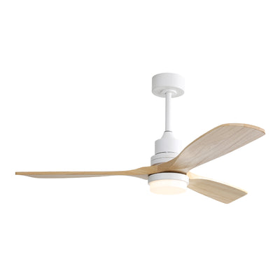 Ventilateur de plafond